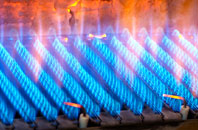 Rodden gas fired boilers
